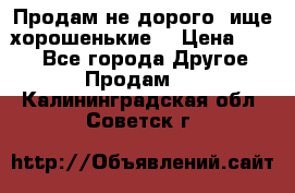 Продам не дорого ,ище хорошенькие  › Цена ­ 100 - Все города Другое » Продам   . Калининградская обл.,Советск г.